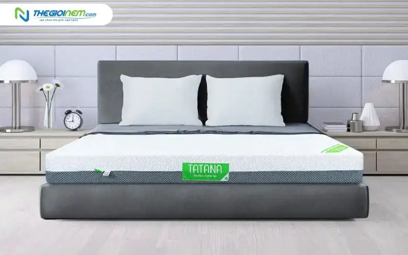 Nệm cao su nhân tạo mát lạnh TATANA