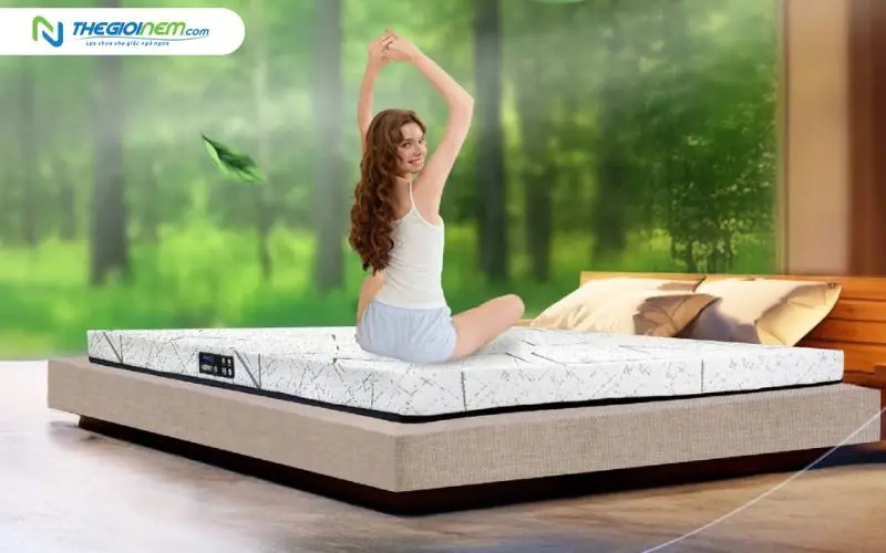 Nệm cao su nhập khẩu Dunlopillo Herit
