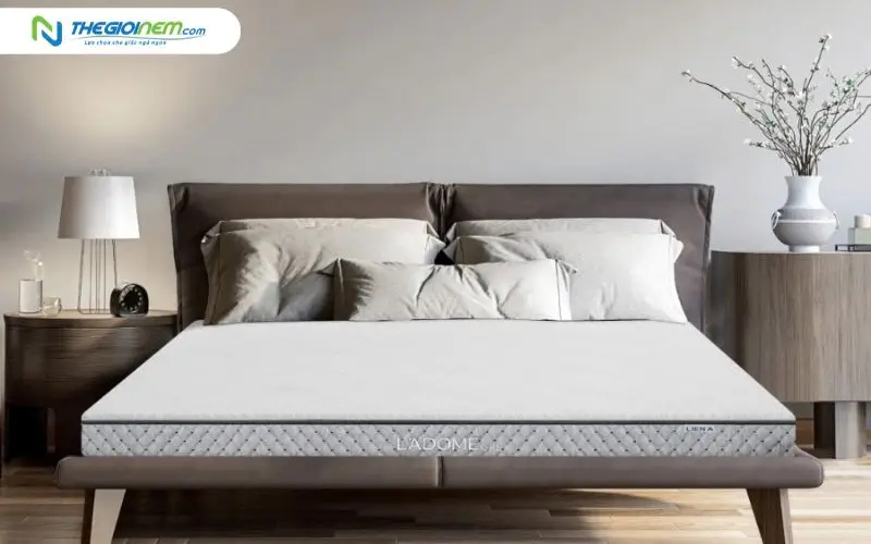 Nệm cao su thiên nhiên Liên Á Ladome Grey
