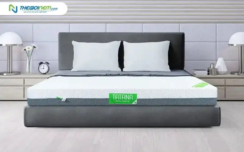 Nệm cao su nhân tạo mát lạnh TATANA