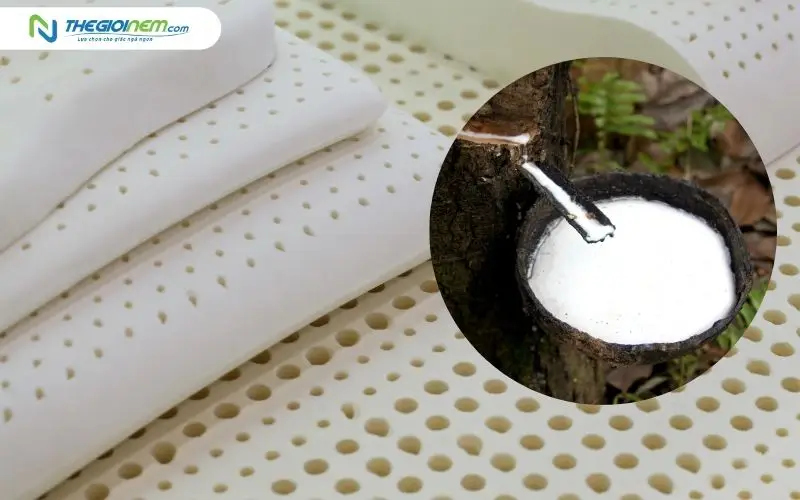 Nệm thiên nhiên cao su có màu gì