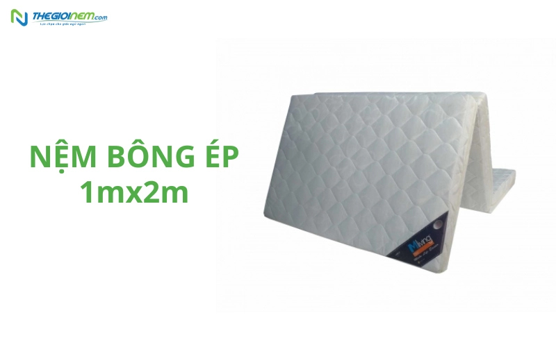Nệm bông ép
