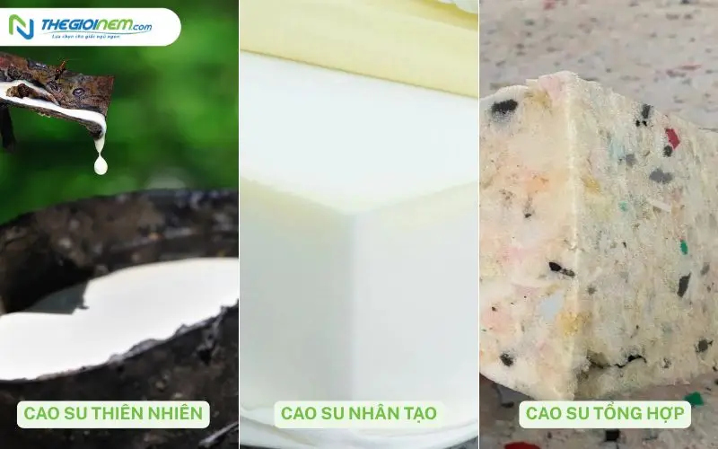 Các dòng cao su phổ biến
