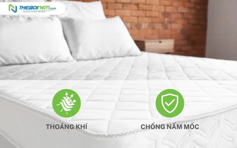 Khả năng thoáng khí và chống nấm mốc của nệm cao su