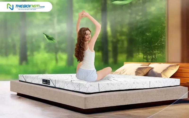 Nệm cao su nhâp khẩu Dunlopillo Herit