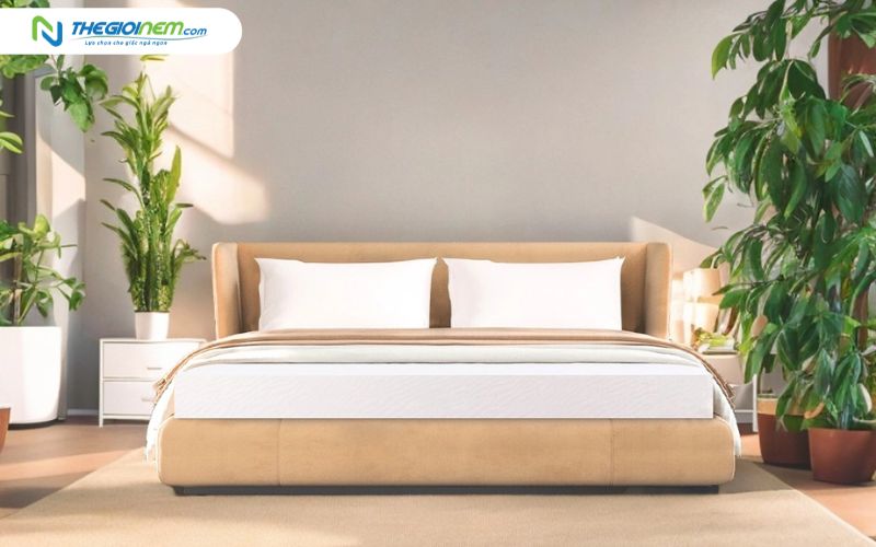 Nệm cao su thiên nhiên Liên Á Classic