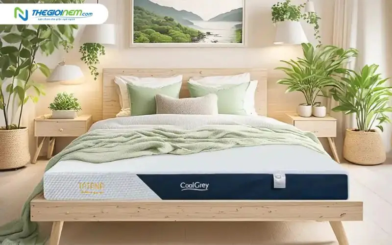 Nệm cao su thiên nhiên TATANA Cool Grey
