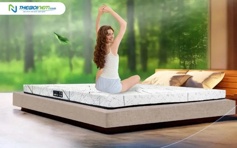 Nệm cao su nhập khẩu Dunlopillo Herit