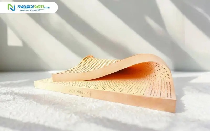 Nệm cao su thiên nhiên Đồng Phú Friendly