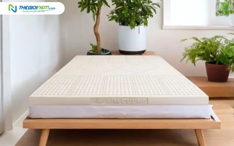 Nệm cao su thiên nhiên Kim Cương Purelux 3&amp;#039;Zone