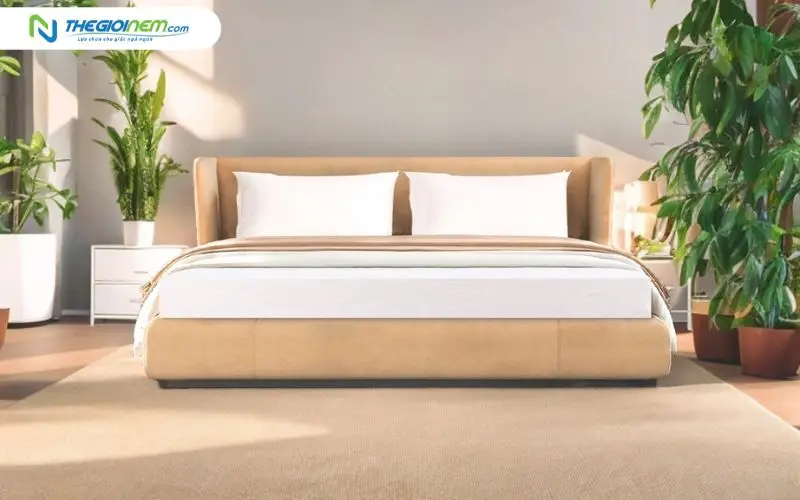 Nệm cao su thiên nhiên Liên Á Classic