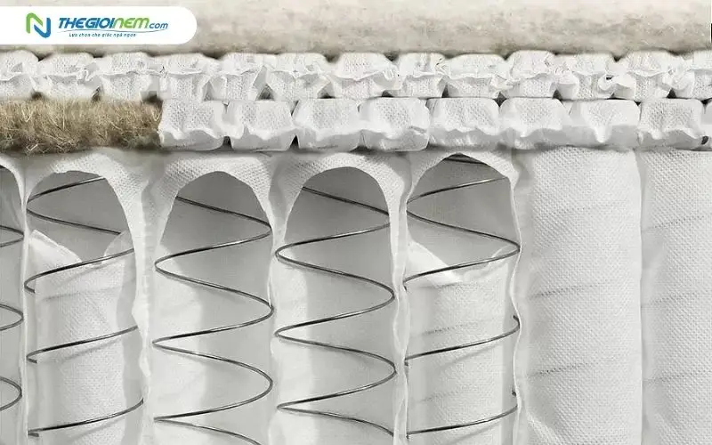 Nguồn gốc và xu hướng chọn nệm lò xo mặt cao su