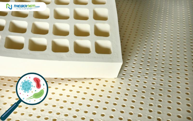 Không làm khô nệm sẽ khiến vi khuẩn phát triển