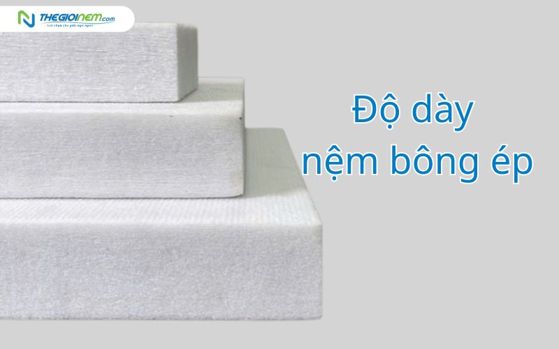 Độ dày nệm bông ép chần gòn đa dạng