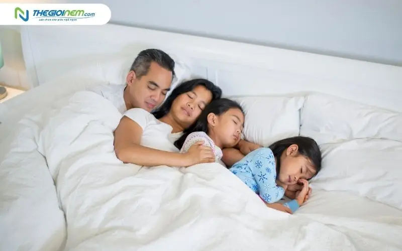 Lý do nệm bông ép được ưa chuộng