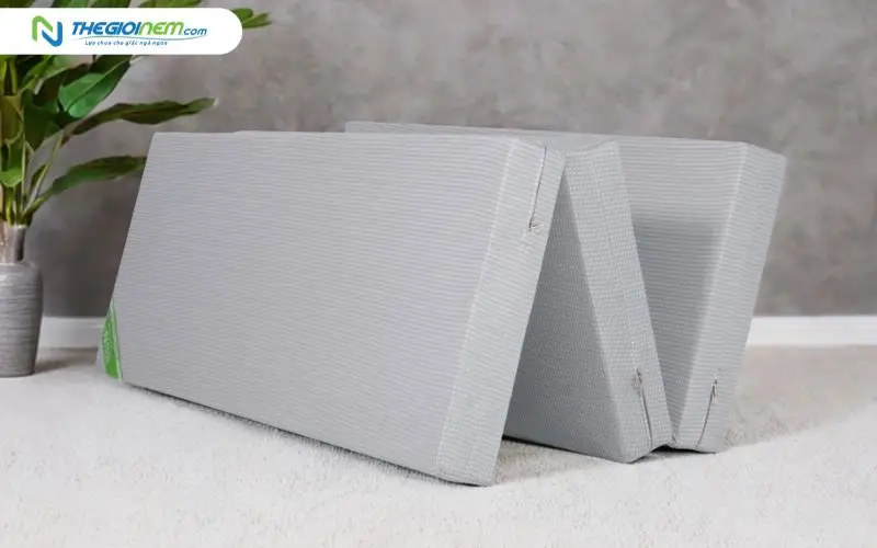 Nệm bông ép gấp 2, gấp 3
