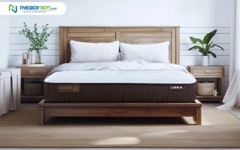 Nệm lò xo Liên Á Cocoon 2.0 Firm