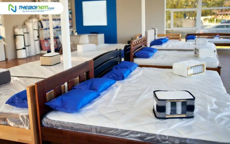 Trải nghiệm thực tế trước khi kí hợp đồng lớn