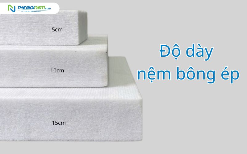 Độ dày nệm bông ép đa dạng