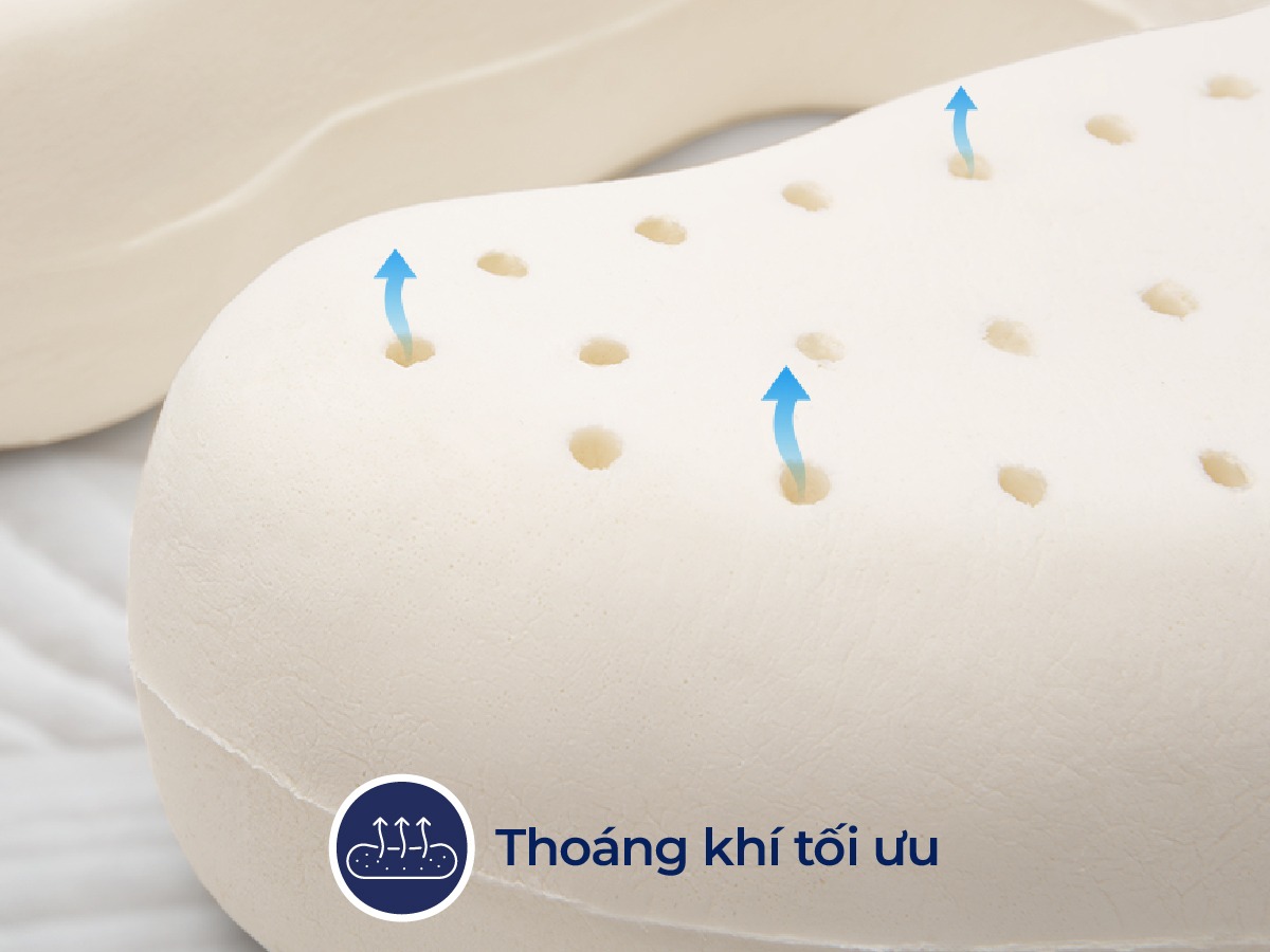 Gối cao su Liên Á Travelmate Lux 2