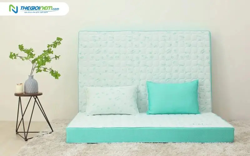 Nệm bông ép Edena Foldena