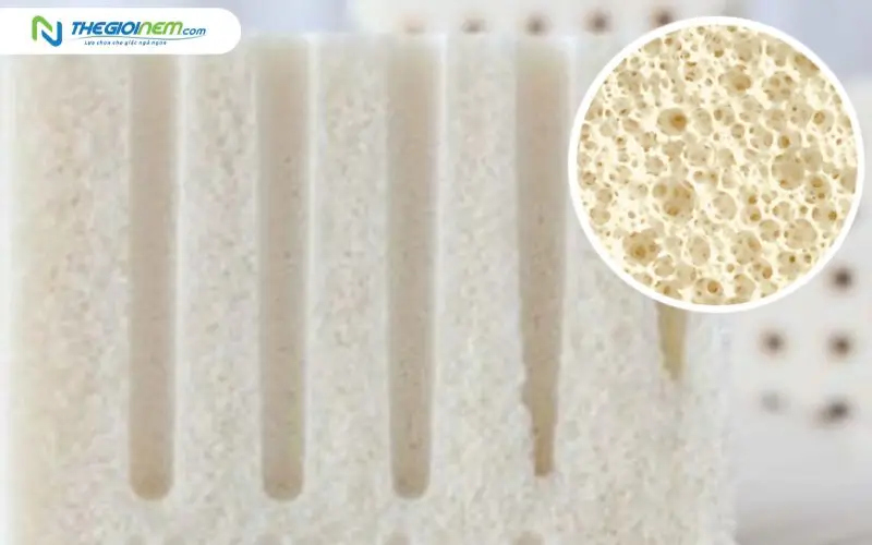 Phương pháp sản xuất nệm cao su Talalay