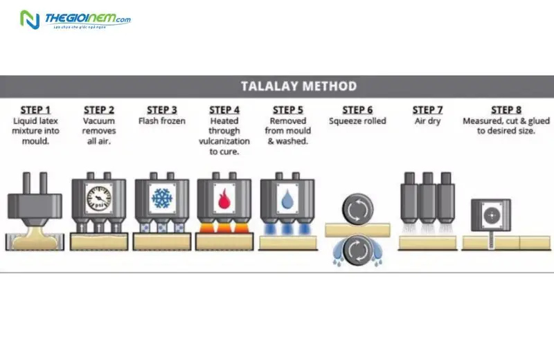 Quy trình sản xuất nệm cao su theo phương pháp Talalay