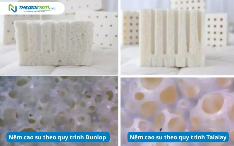 Sự khác biệt giữa phương pháp Talalay và Dunlop