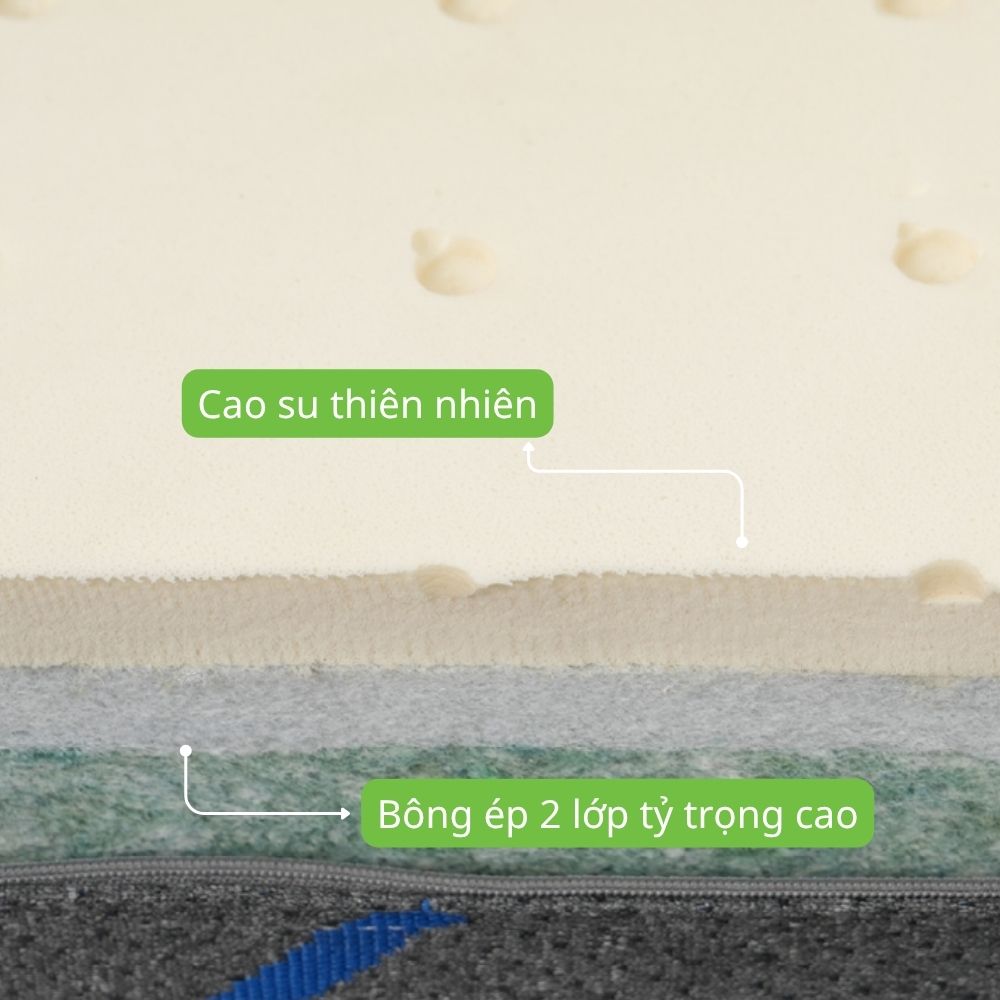 Nệm cao su Kim Cương Eufiber Advanced 2