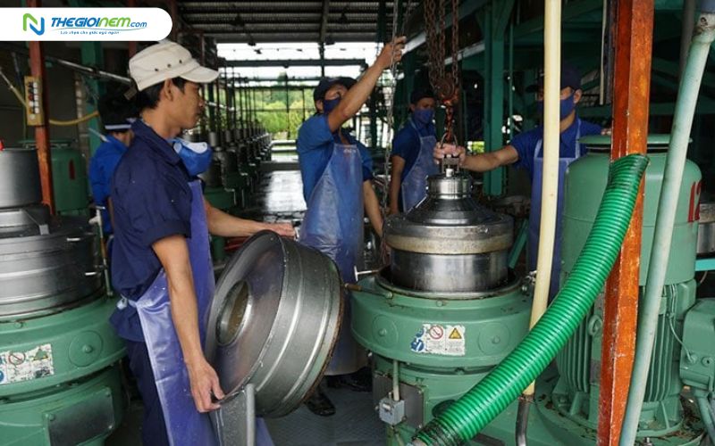 Nệm cao su thiên nhiên Đồng Phú sản xuất trong quy trình khép kín