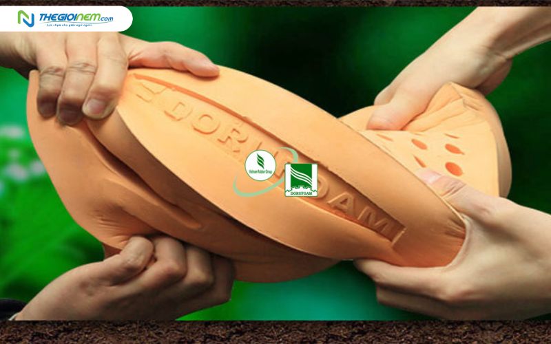 Thương hiệu nệm cao su Đồng Phú