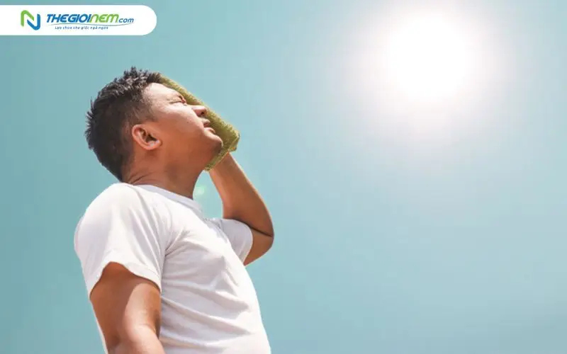 Vùng khí hậu nóng ẩm như Thành Phố Hồ Chí Minh