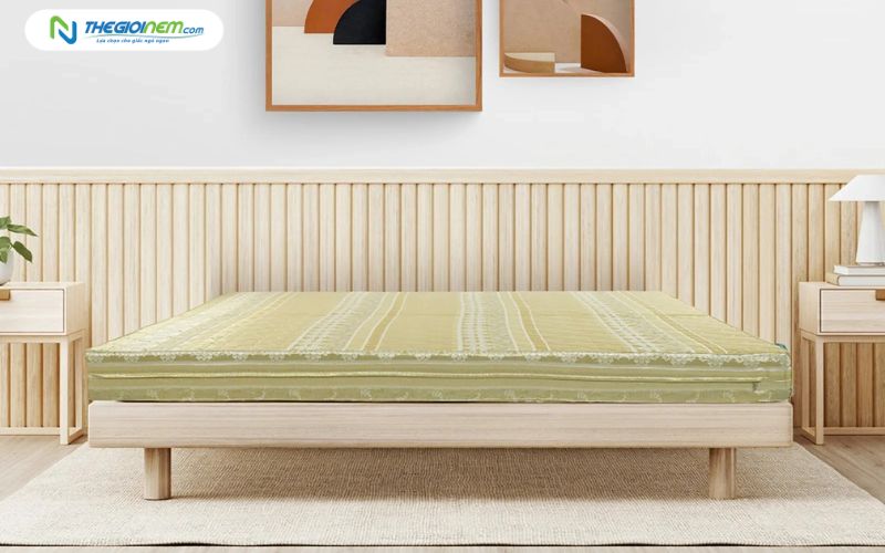 Nệm bông ép Everon