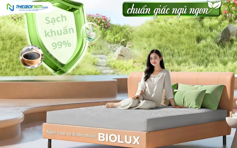 Nệm cao su Kim Cương