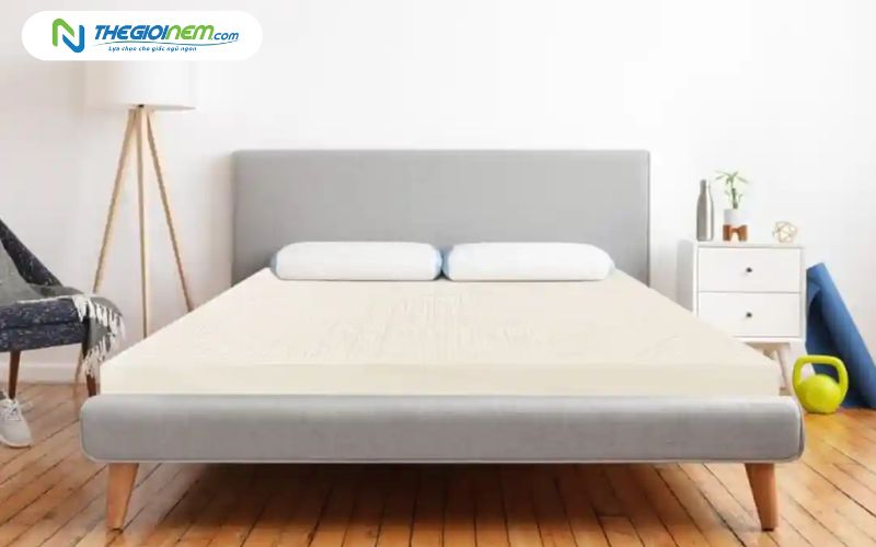 cửa hàng bán nệm cao su vạn thành tại đà nẵng 4