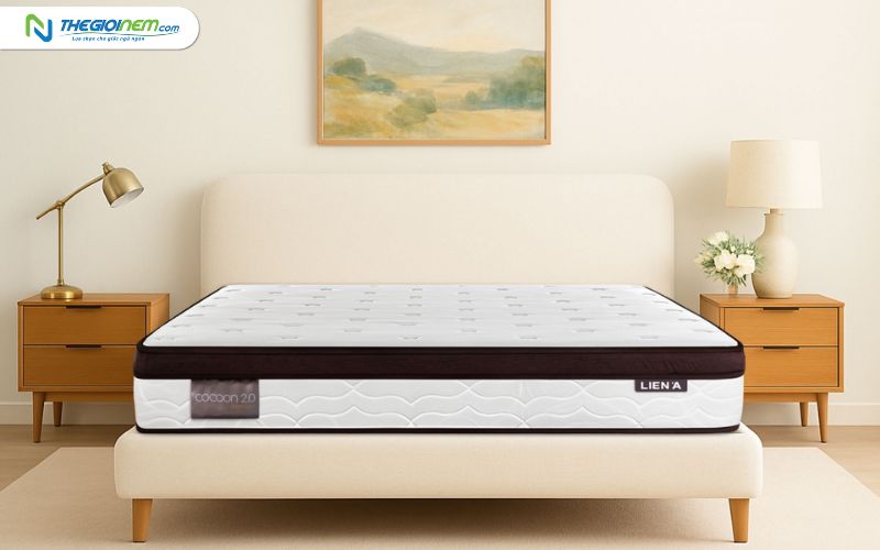 Mua nệm lò xo trả góp 0% lãi suất tại Thế Giới Nệm