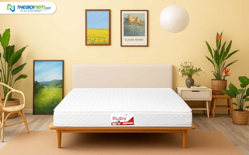 Đại Lý Nệm Lò Xo Vạn Thành Chính Hãng Giá Rẻ Tại Đà Nẵng