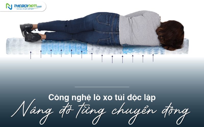 Đại Lý Nệm Lò Xo Vạn Thành Chính Hãng Giá Rẻ Tại Đà Nẵng