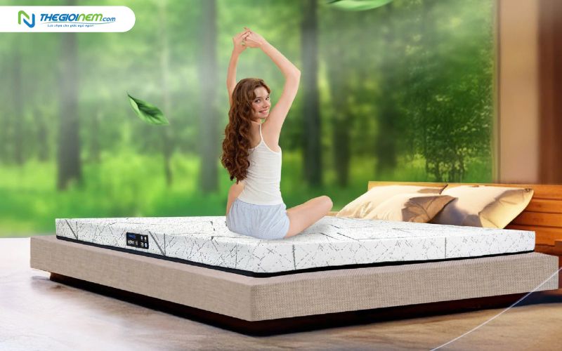 Nệm cao su Dunlopillo