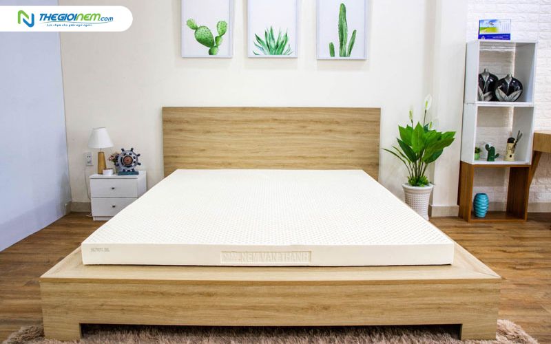 Nệm cao su Vạn Thành