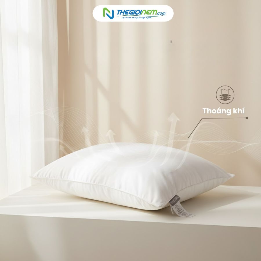 gối nằm gòn everon 3