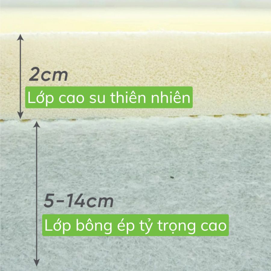 Nệm cao su bông Tatana gấp 3