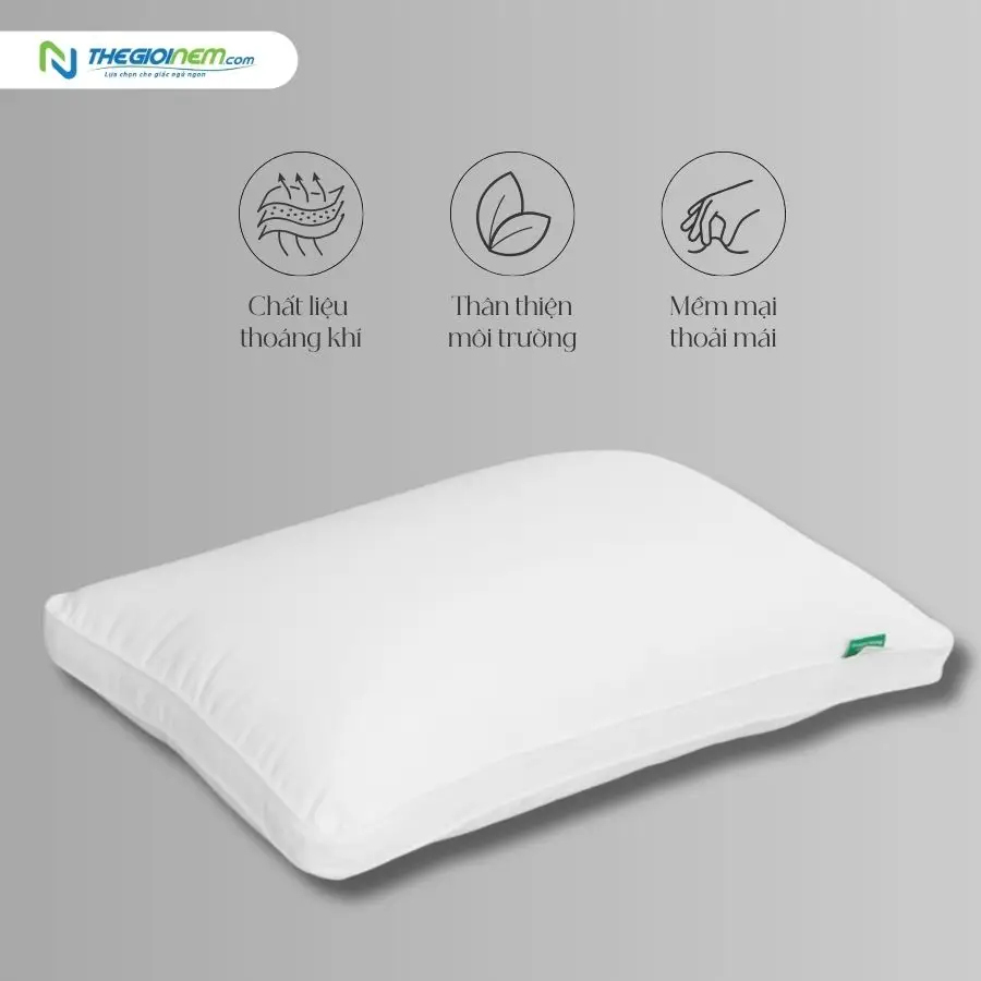 Ruột gối tơ tầm edena