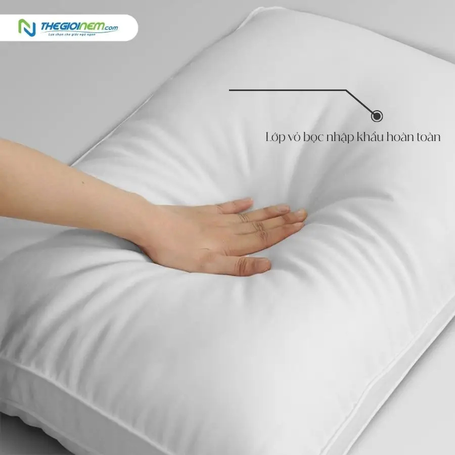 Ruột gối tơ tầm Edena