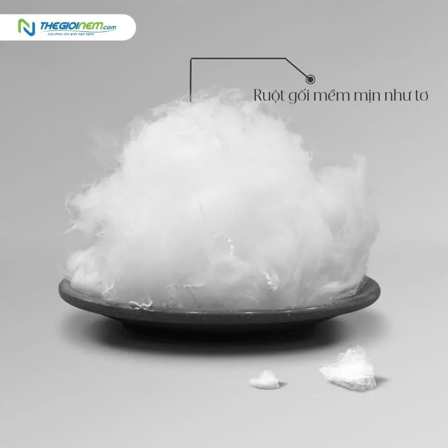 Ruột gối tơ tầm Edena