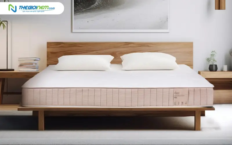 Thương hiệu nệm Everon