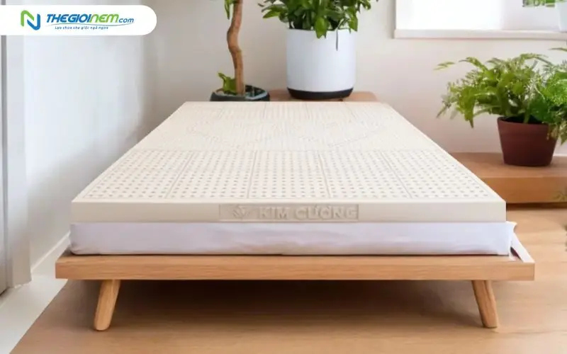 Thương hiệu nệm Kim Cương