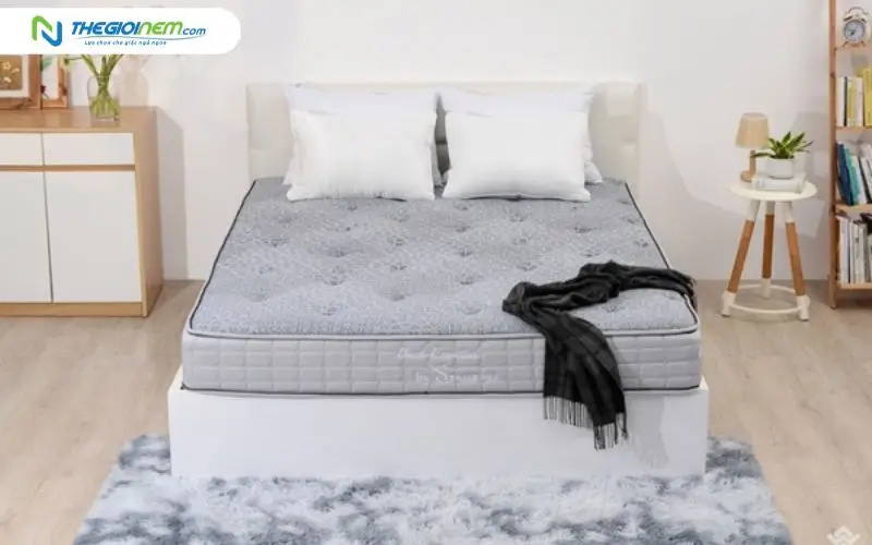 Thương hiệu nệm Sông Hồng