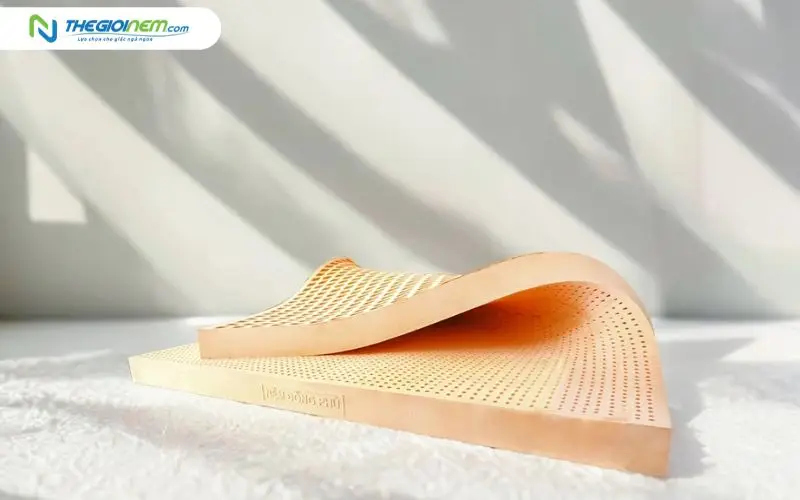 Nệm cao su thiên nhiên Đồng Phú Friendly