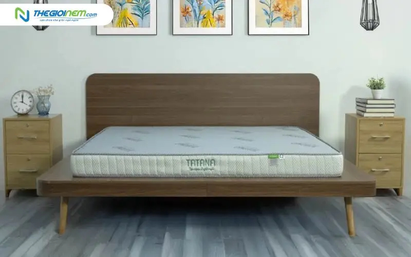Nệm ép dẻo TATANA